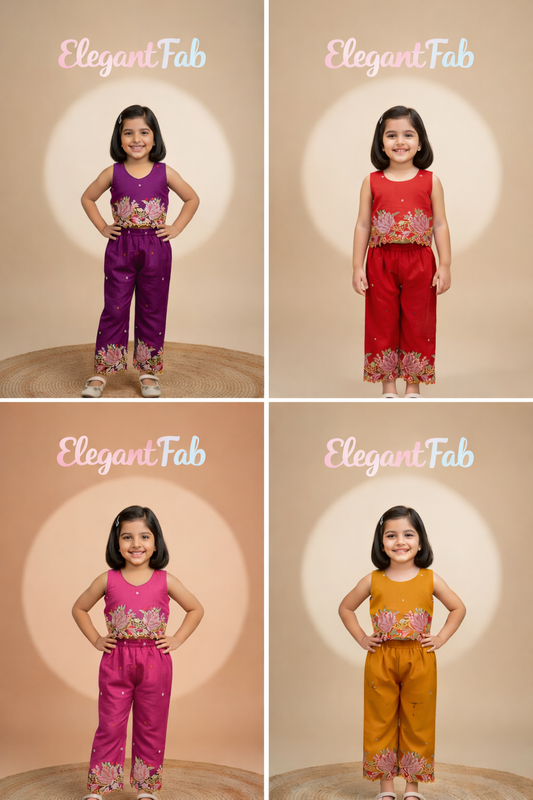 Innovative Jimmy-chu Beautiful Embroidery work Fabric Cord Set