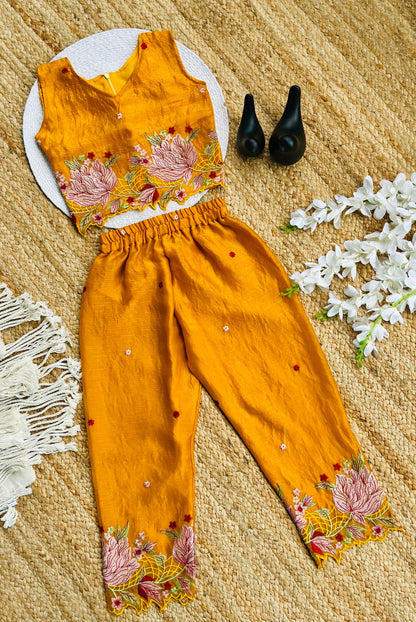 Innovative Jimmy-chu Beautiful Embroidery work Fabric Cord Set