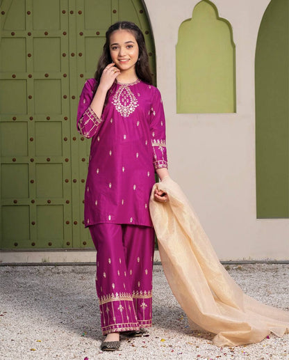 Gulbagh Grape Kurta Set for Girls